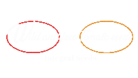 Wild And Free Tomato Seeds