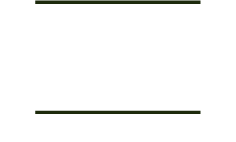 Wild And Free Tomato Seeds